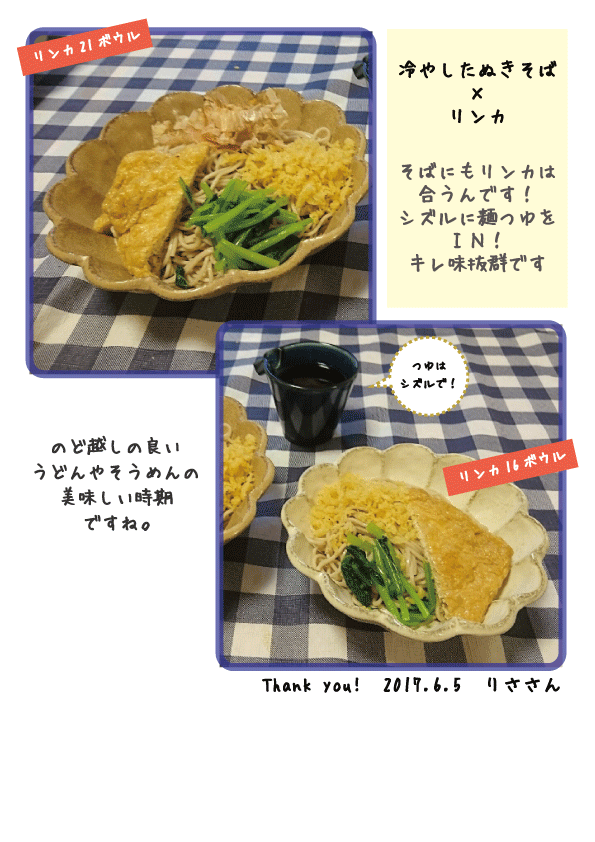 リンカ で 冷やしたぬきそば トピックス 株式会社カネコ小兵製陶所 リンカ で 冷やしたぬきそば トピックス 株式会社カネコ小兵製陶所