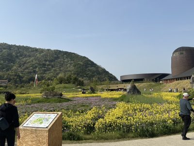 ラコリーナ